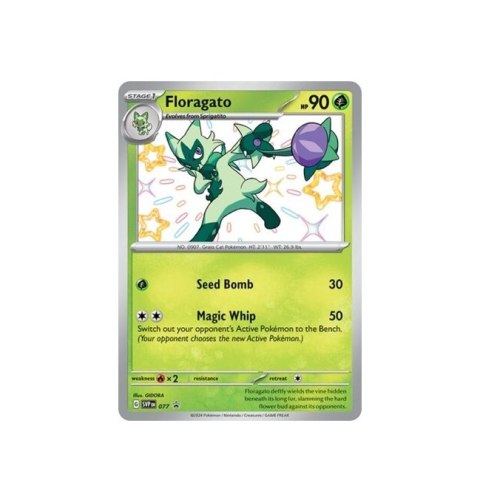 Floragatto - SVP077 Floragatto - SVP077