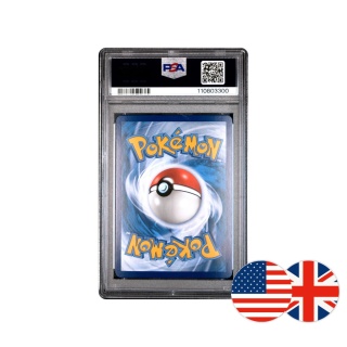 Pokémon TCG Promo SWSH291 - Lucario VSTAR PSA 10