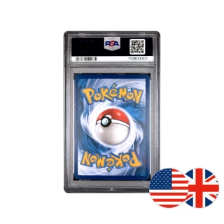 Pokémon TCG Promo SWSH291 - Lucario VSTAR PSA 10