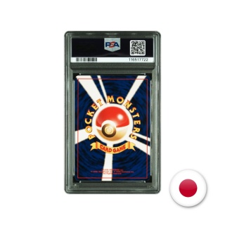 Pokémon TCG Southern Island - Ledyba PSA 8