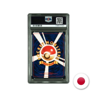 Pokémon TCG Southern Island - Raticate PSA 9