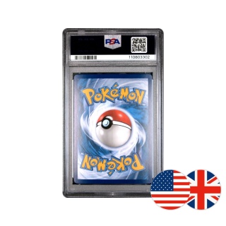 Pokémon TCG Promo SWSH291 - Lucario VSTAR PSA 10