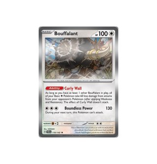 Bouffalant 119/142